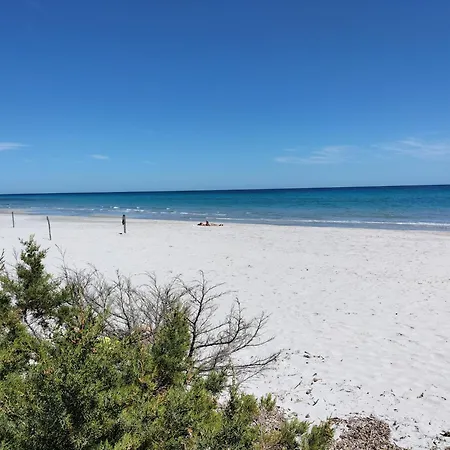 Sant Antonio * أروسييْ